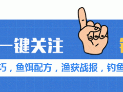 蚯蚓钓鱼全攻略：技巧、季节、挂钩与调漂的秘籍，助你大鲫大鲤！