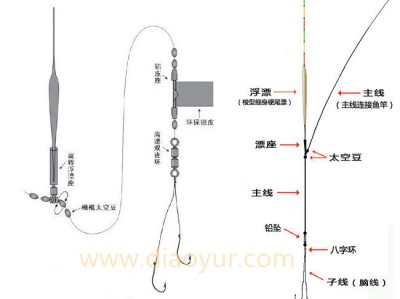 鱼线种类及线组的绑法详细图解