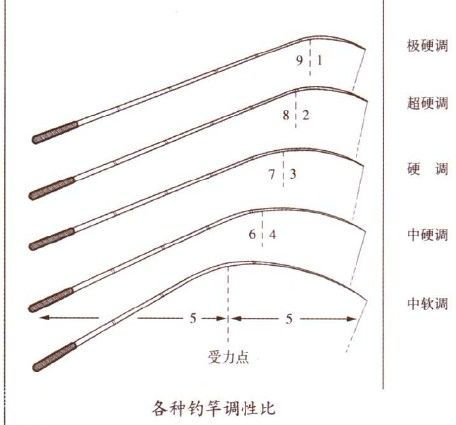 钓鱼新手如何选择一款合适的鱼竿