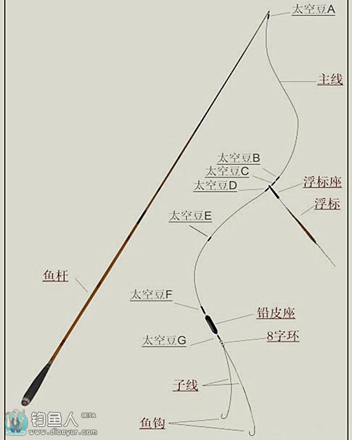 鱼线种类及线组的绑法详细图解